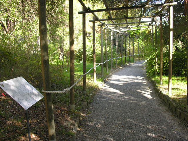 Percorso per Disabili