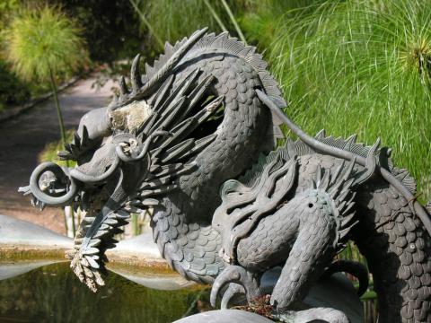 Fontana del Drago particoalre