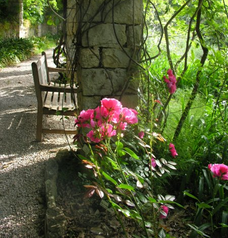 Adottiamo una pianta - Didattica - Giardini Botanici Hanbury