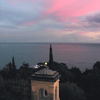 fioriture invernali - pavillon al tramonto